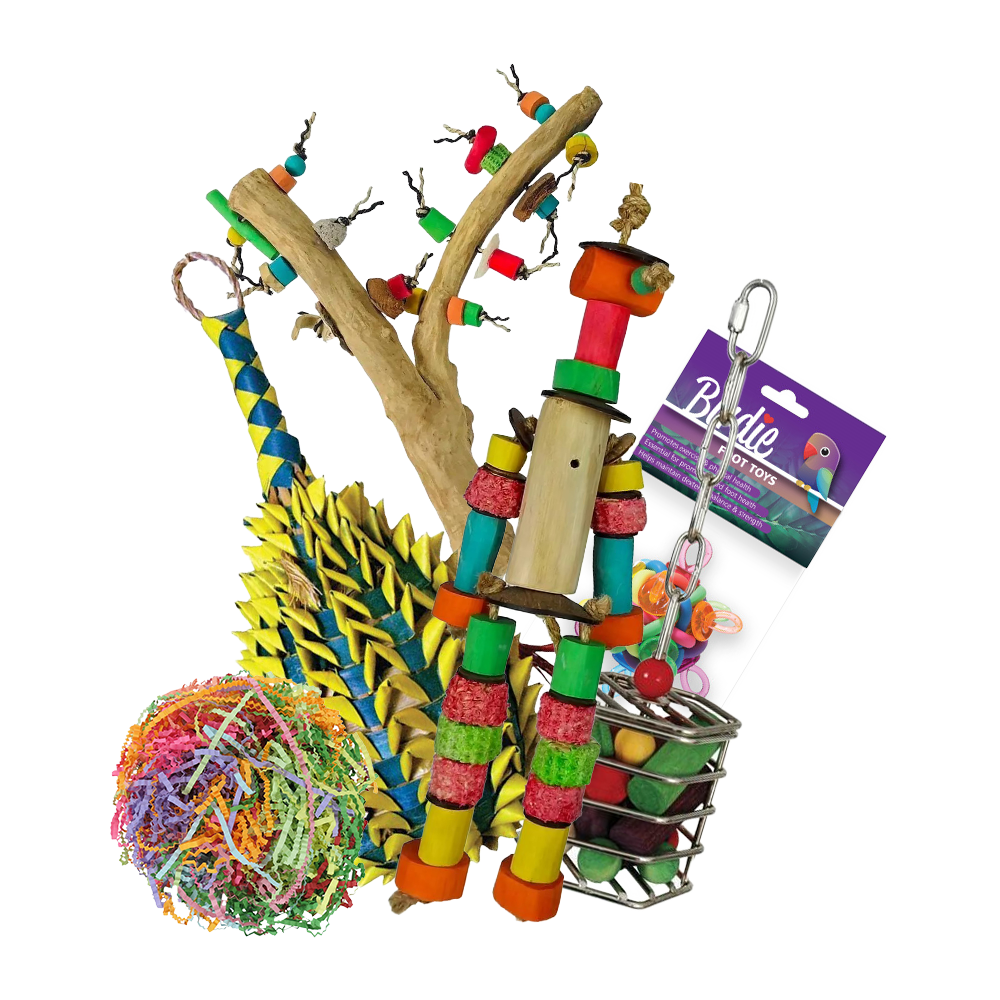 Medium Bird Toys Get Flocked