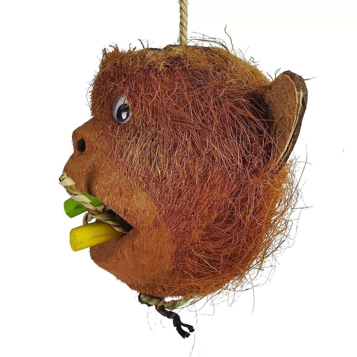 Nino's Java Mr Monkey Coconut Head from Nino's Java