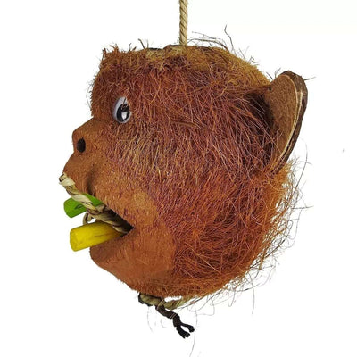 Nino's Java Mr Monkey Coconut Head from Nino's Java