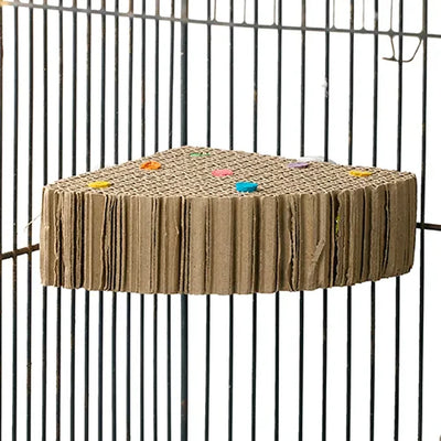 Bainbridge Corner Cardboard Treat n Seek from Bainbridge