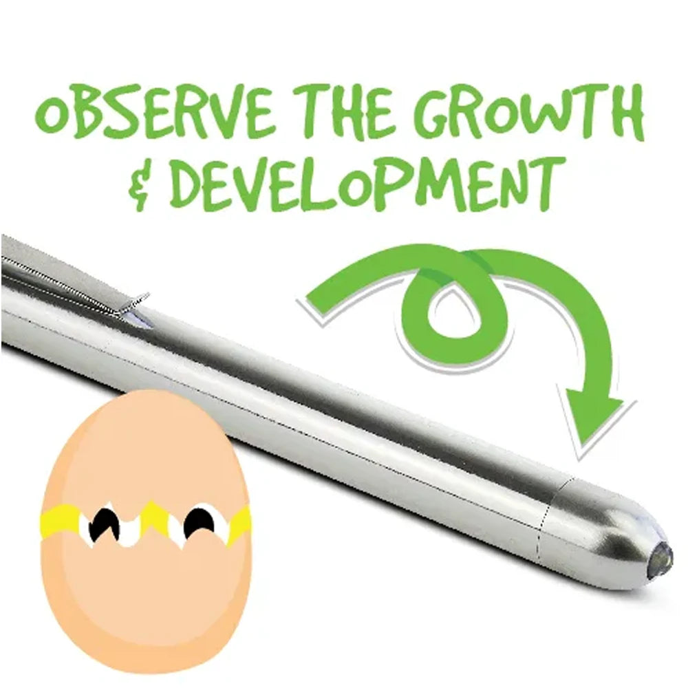 Bainbridge Egg Candler from Bainbridge