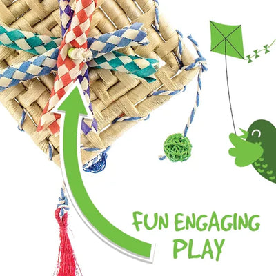 Bainbridge Fiesta Kite from Bainbridge