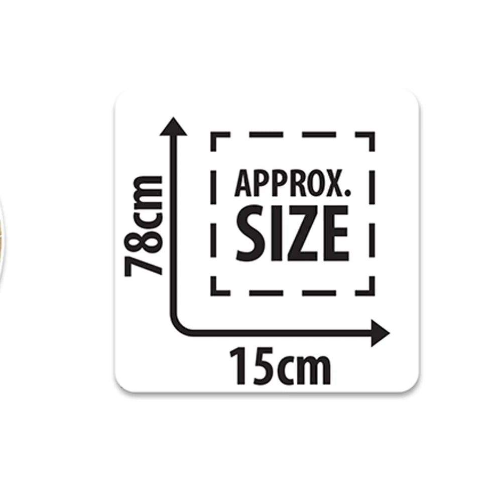 Bainbridge Jellyfish Fun from Bainbridge