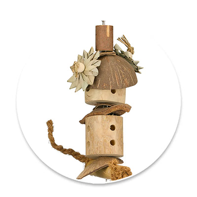 Bainbridge Naturals Mushroom Forage