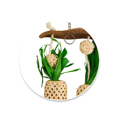 Bainbridge Naturals Pineapple Paradise from Bainbridge