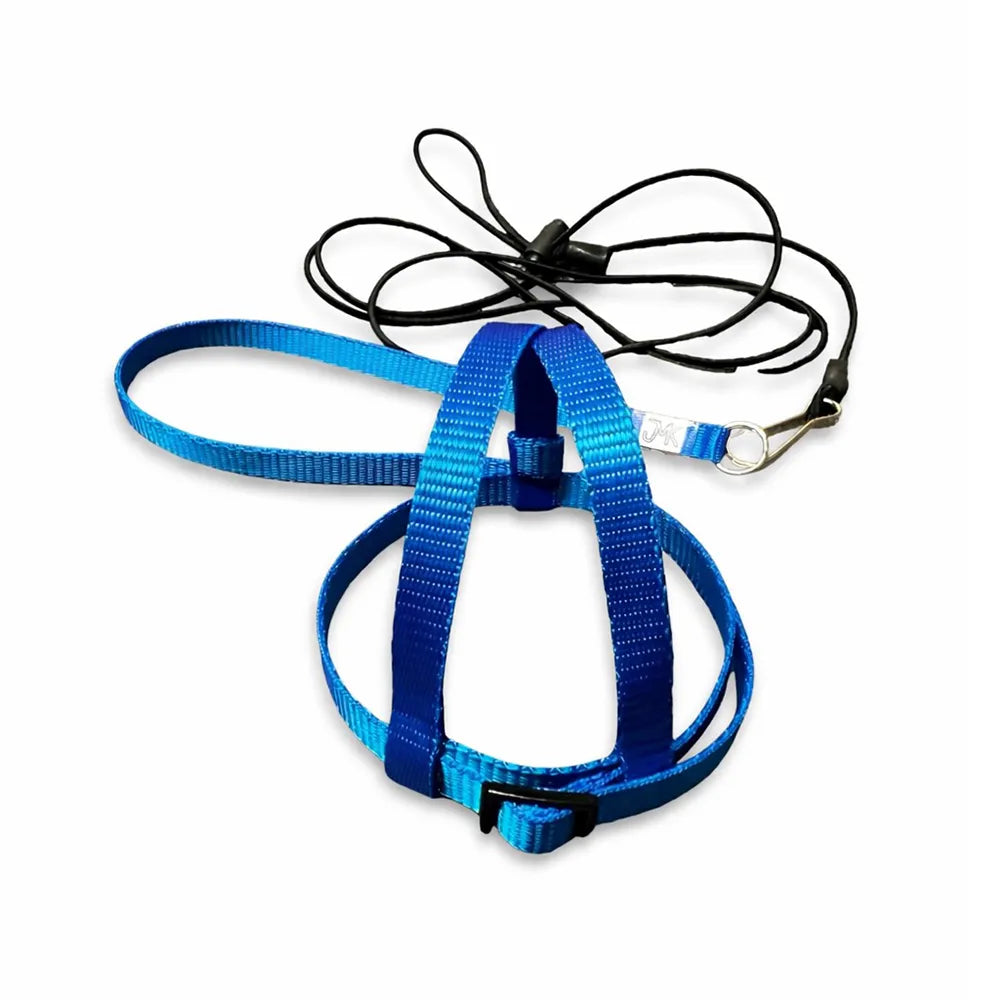 JMK Bird Harness & Leash / Single Colour