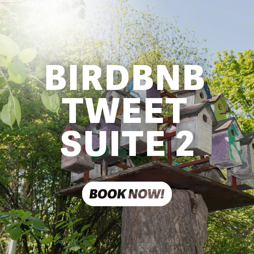 Birdbnb - Tweet Suite 2 from Get Flocked