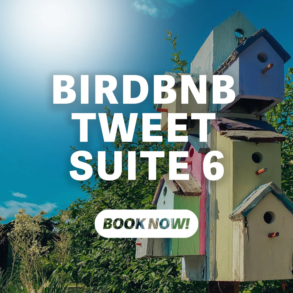 Birdbnb - Tweet Suite 6 from Get Flocked