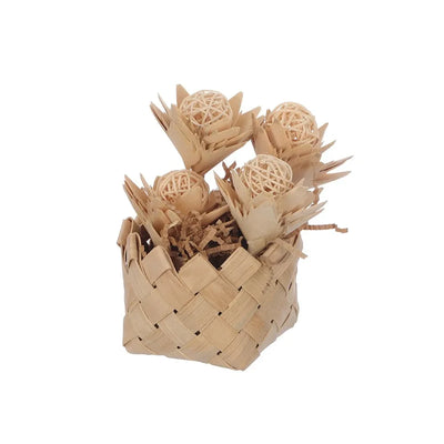 Blooming Pot from Nature Island