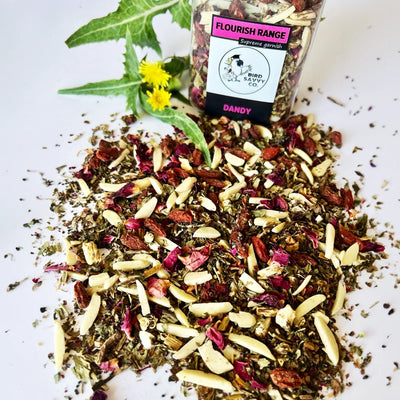 Dandy 100g (Excl. TAS & WA) from Bird Savvy Co.