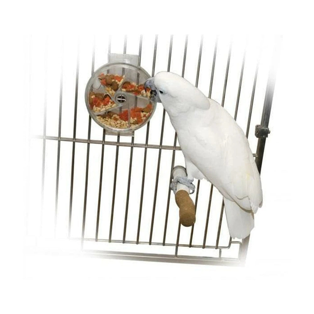 Featherland Paradise Re+Enforcement Foraging Wheel from Featherland Paradise