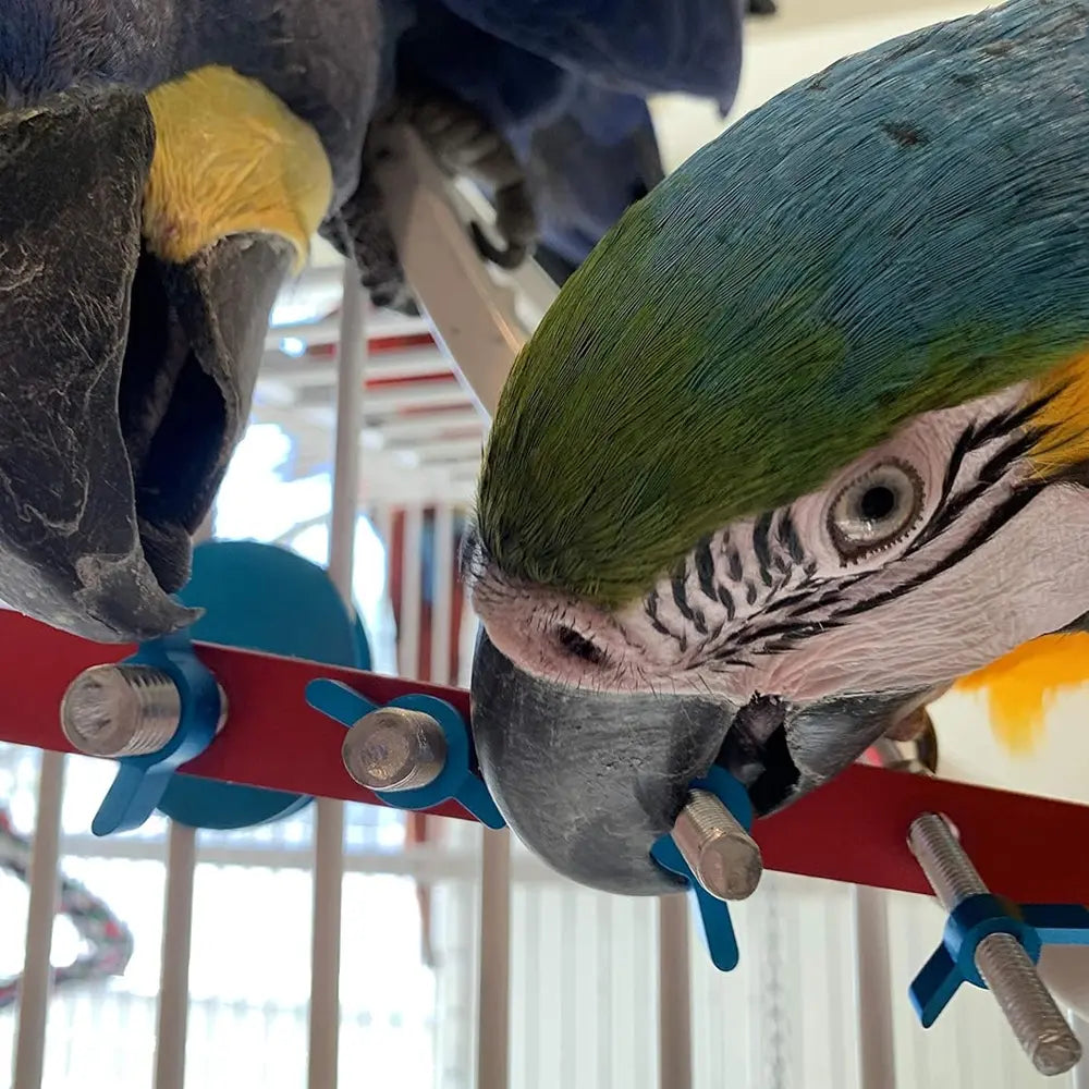 Busy Bird Busy Strip from Busy Bird