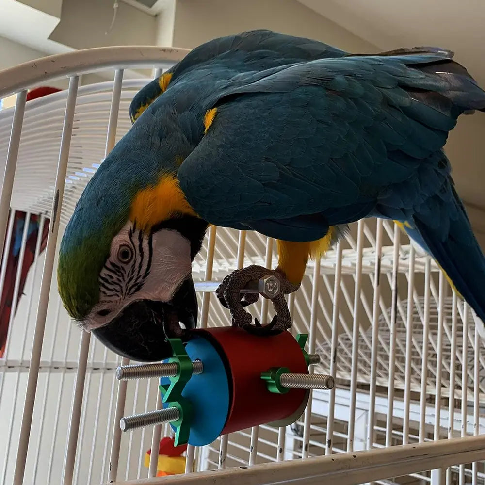 Busy Bird Busy Barrel from Busy Bird