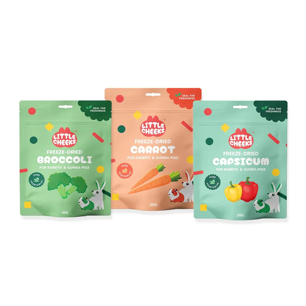 Freeze-Dried Rainbow Veggie Bundle