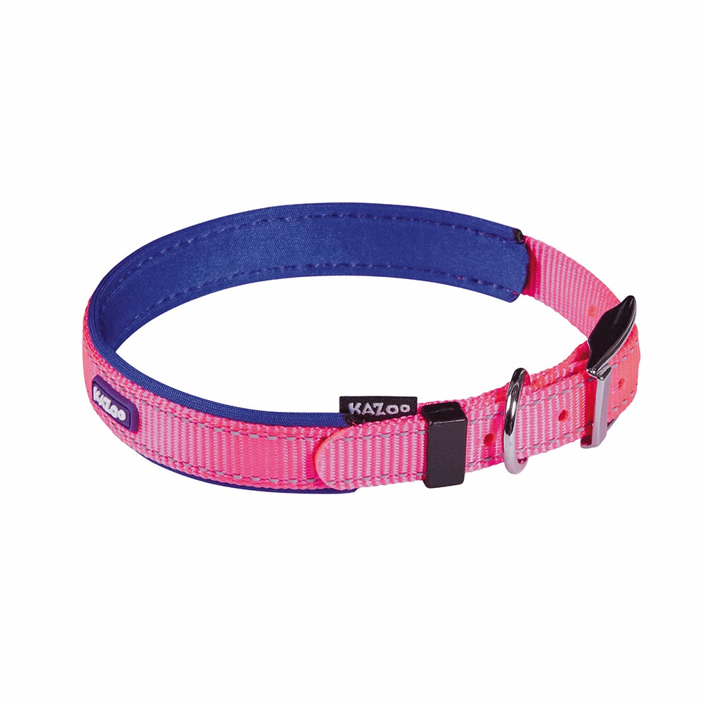 Kazoo Buckle Collar - Active from Kazoo Pet Co