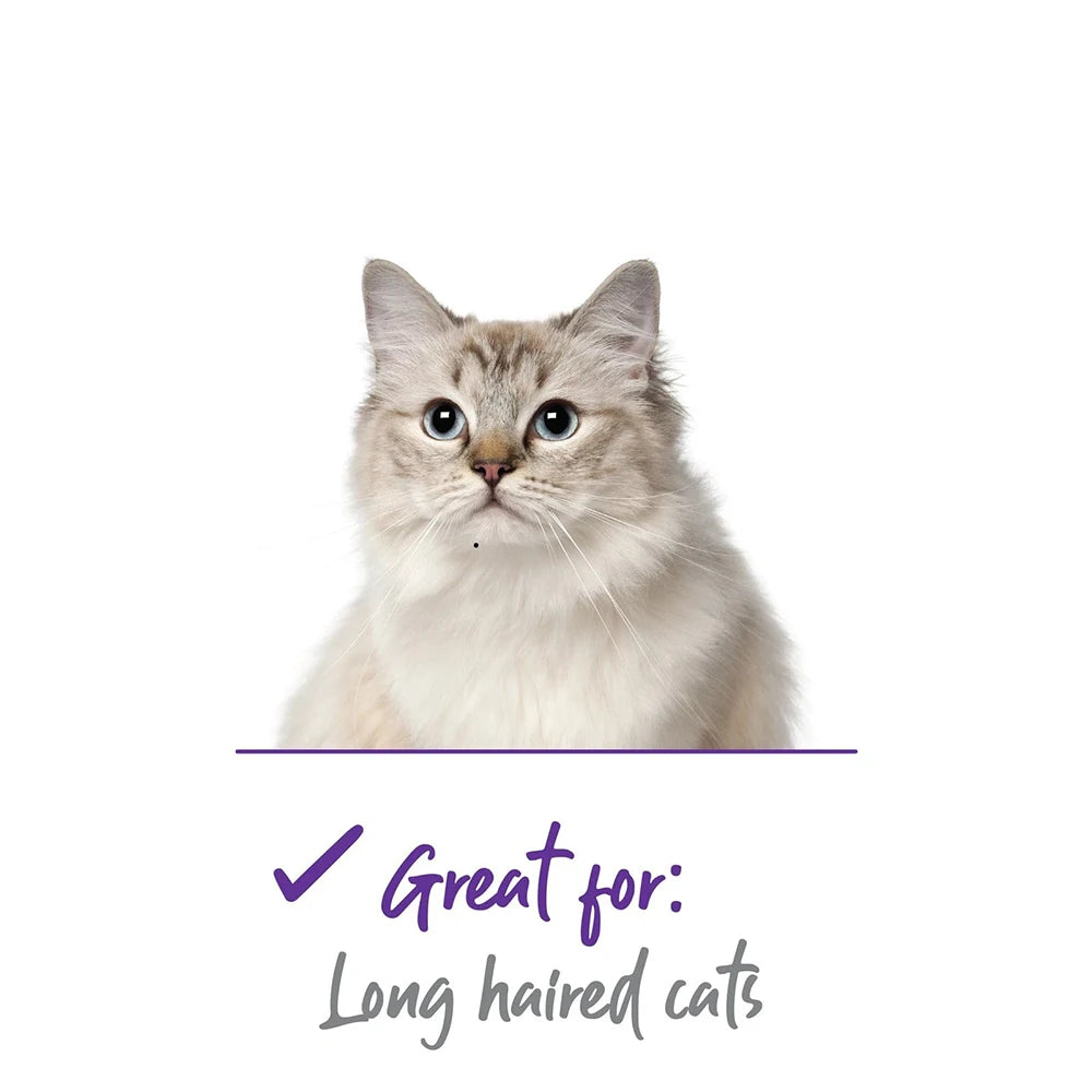 Kazoo Cat Comb from Kazoo Pet Co