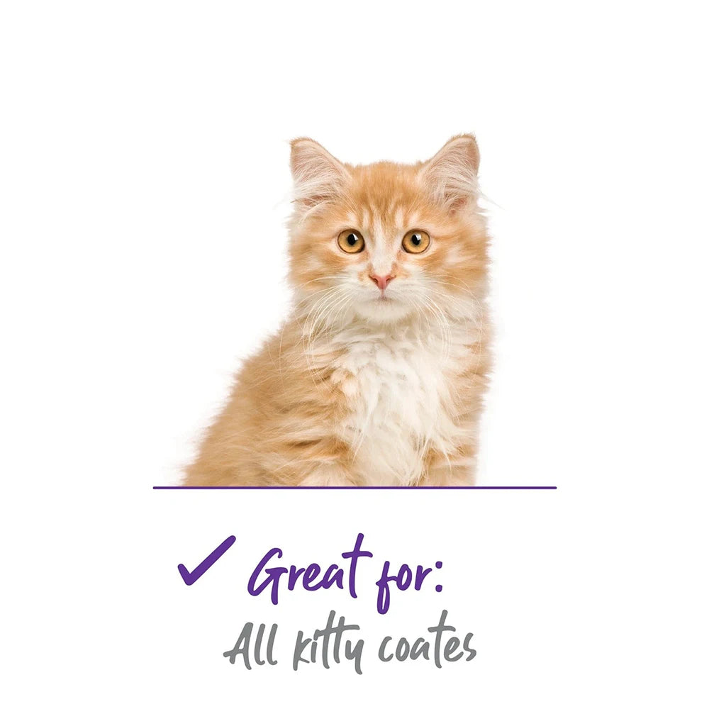 Kazoo Cat Slicker Brush - Soft from Kazoo Pet Co