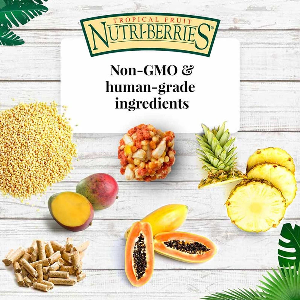 Lafeber Tropical Fruit Nutri-Berries for Cockatiels 284g (Excl. TAS & WA) from Lafeber