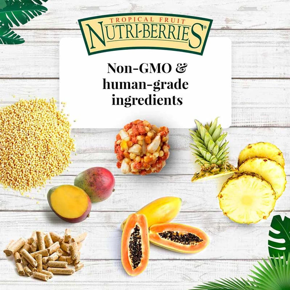 Lafeber Tropical Fruit Nutri-Berries for Macaws & Cockatoos (Excl. TAS & WA) from Lafeber