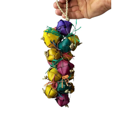 Nino's Java Palm Nuts