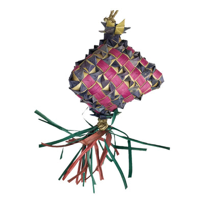 Nino's Java Pinata