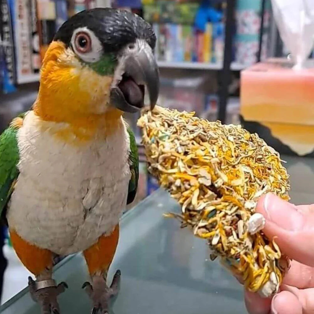 Raw For Birds Eucalyptus Flower Foot Toys 3 Pk (Excl. TAS & WA) from Raw For Birds