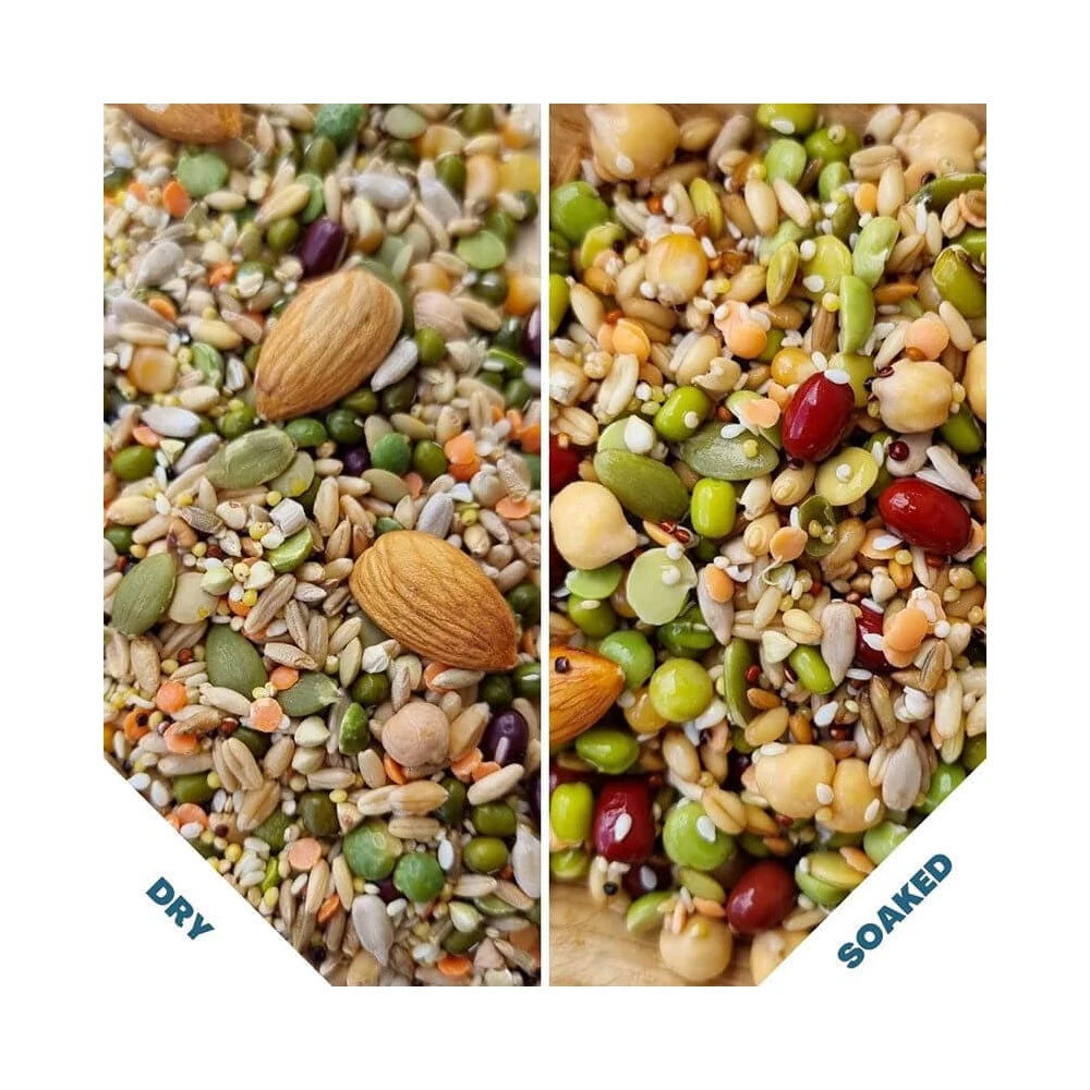 Raw For Birds Flock Soaking Blend (Excl. TAS & WA) from Raw For Birds