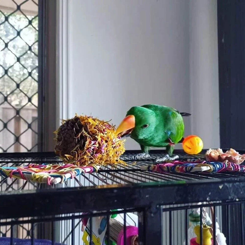 Raw For Birds Floral Pinecone Chews 2 Pk (Excl. TAS & WA) from Raw For Birds