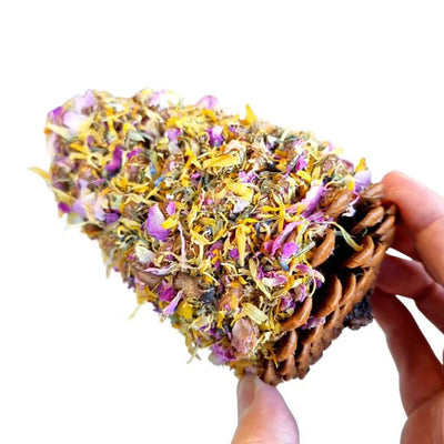 Raw For Birds Floral Pinecone Chews 2 Pk (Excl. TAS & WA) from Raw For Birds