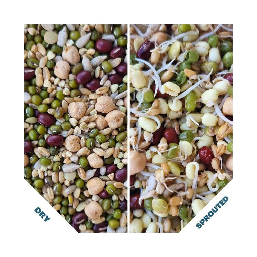 Raw For Birds Sprouting Blend (Excl. TAS & WA) from Raw For Birds