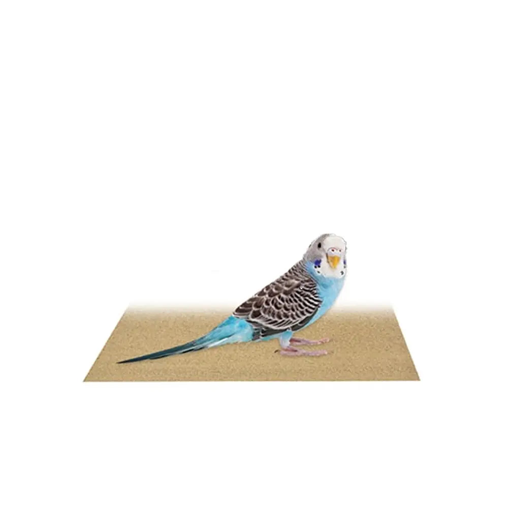 Avi One Sand Sheets 6pk from Avi One