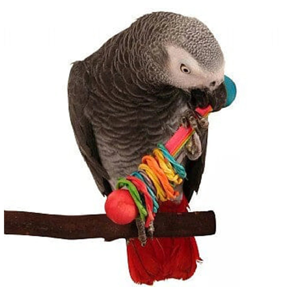 Super Bird Creations Vine Ring Rattle from Super Bird Creations