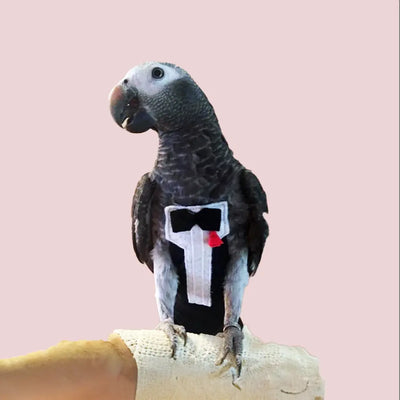 Tux with Tails FeatherWear FlightSuit - Reusable Bird Diaper from Avian Fashions