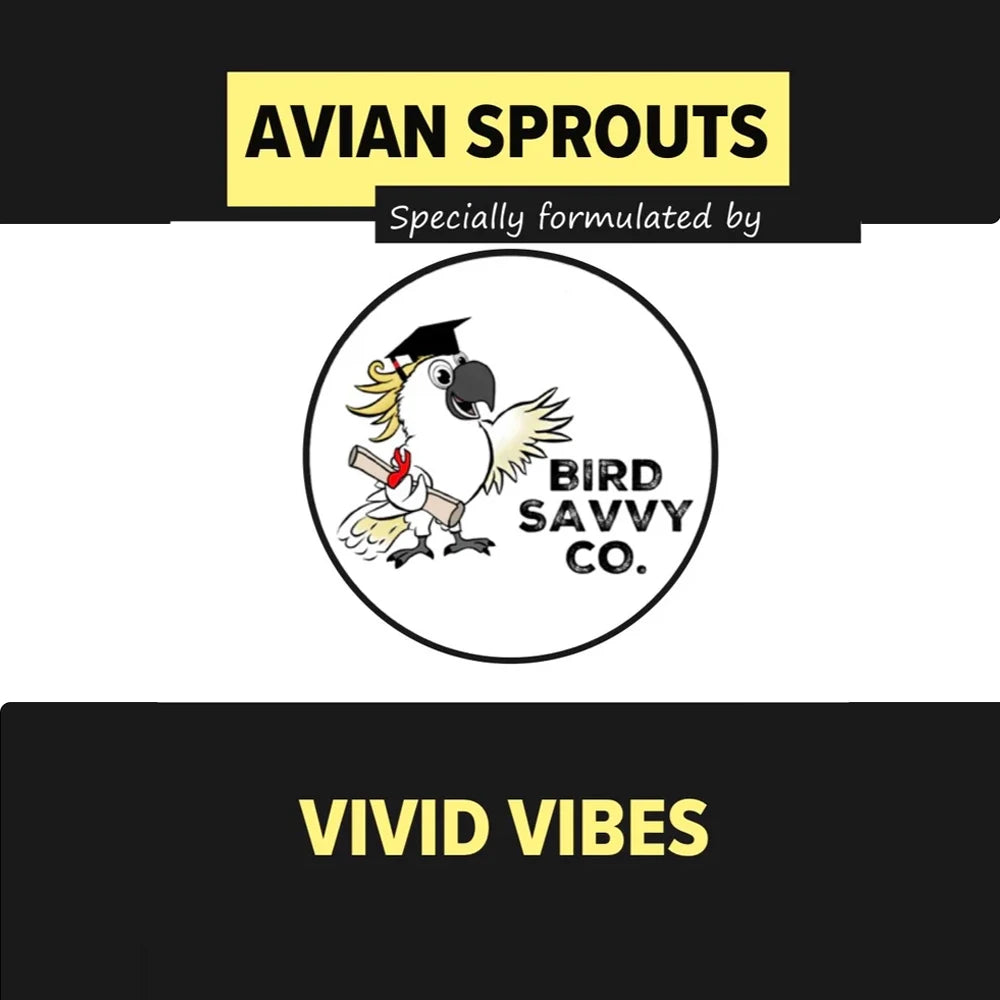 Vivid Vibes 300g (Excl. TAS & WA) from Bird Savvy Co.