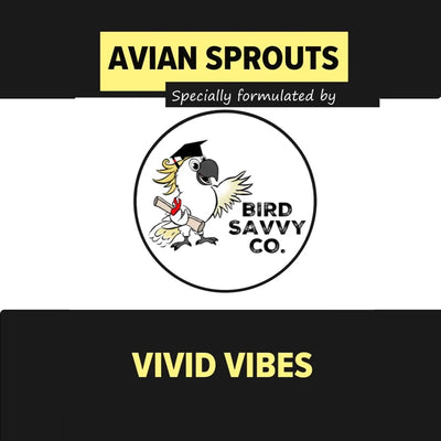 Vivid Vibes 300g (Excl. TAS & WA) from Bird Savvy Co.