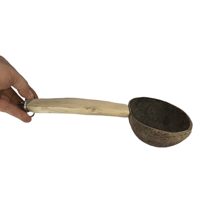 Nino's Java Stage Perch with Bowl from Nino's Java