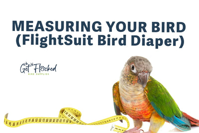 Measuring Your Bird (FlightSuit Bird Diaper)