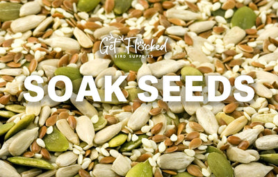 How to Soak Seed