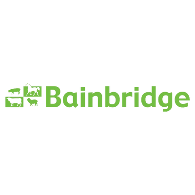 Bainbridge