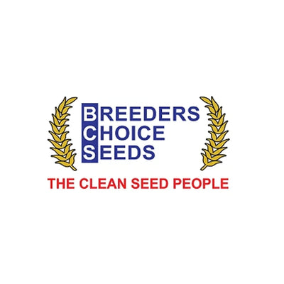 Breeders Choice Seeds