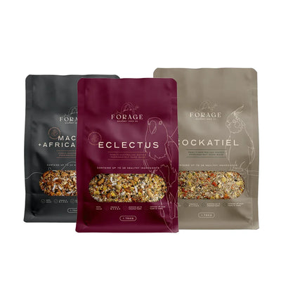 Forage Gourmet Seed