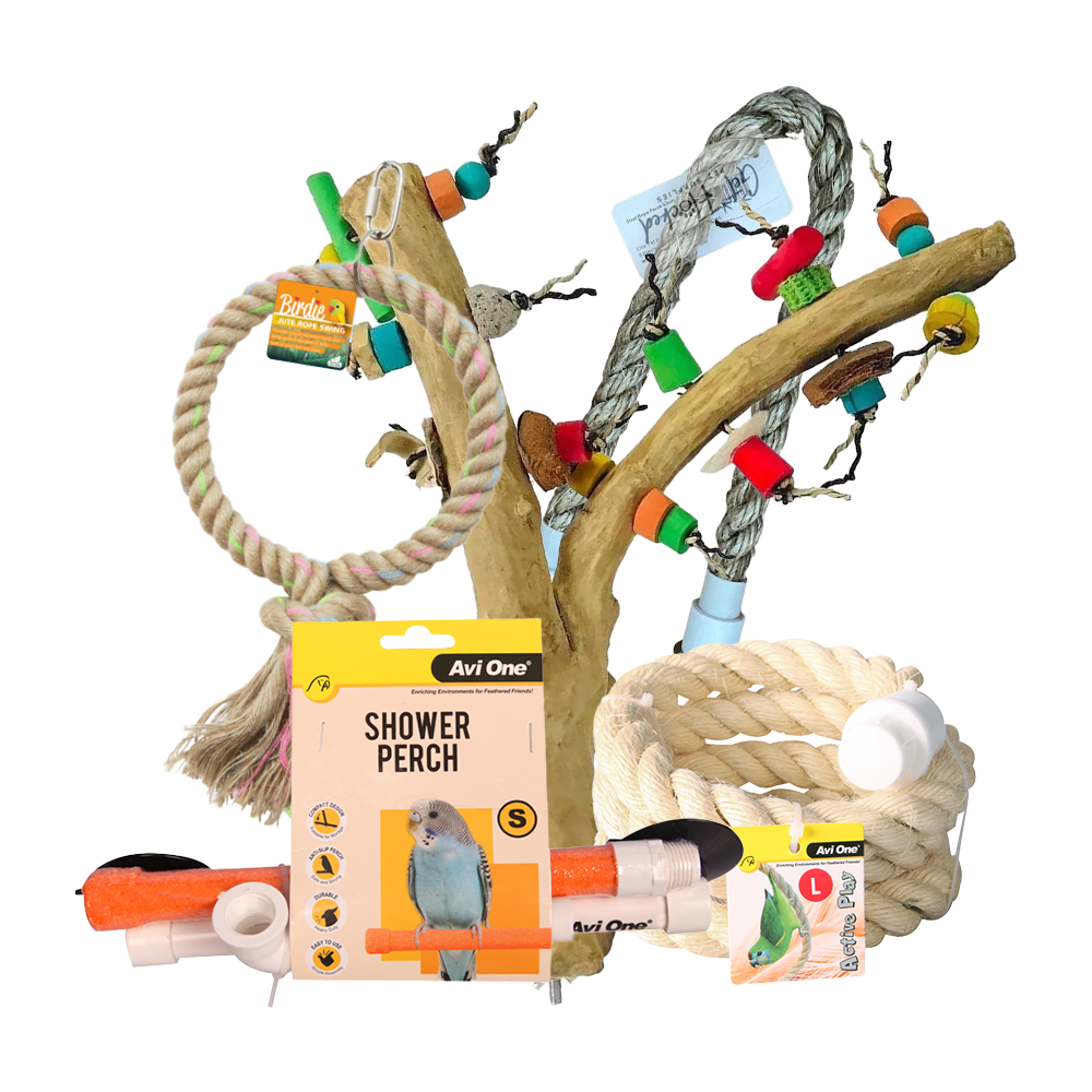 Bird Perches, Swings & Stands – Get Flocked