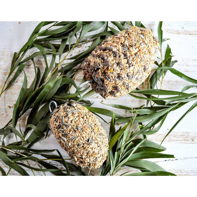 Forage Pinecone Treat (Excl. TAS & WA) from Forage Gourmet Seed