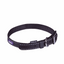 Kazoo Buckle Collar - Classic from Kazoo Pet Co