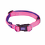 Kazoo Easy-Clip Collar - Active from Kazoo Pet Co