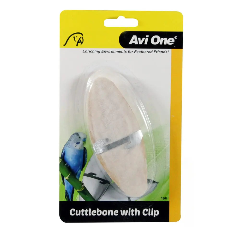 Avi One Cuttlebone with Stainless Steel Clip in small showing the front view