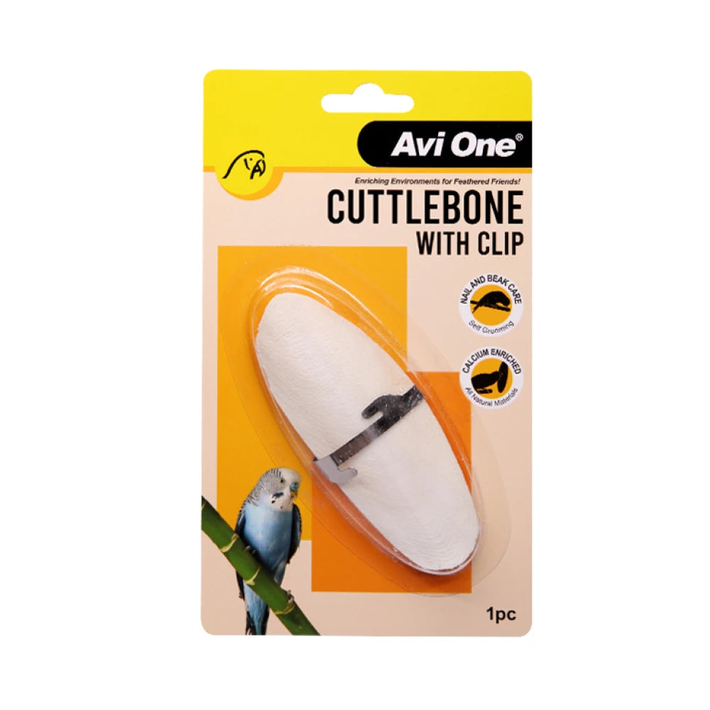 Avi One Cuttlebone with Stainless Steel Clip in large showing the front view