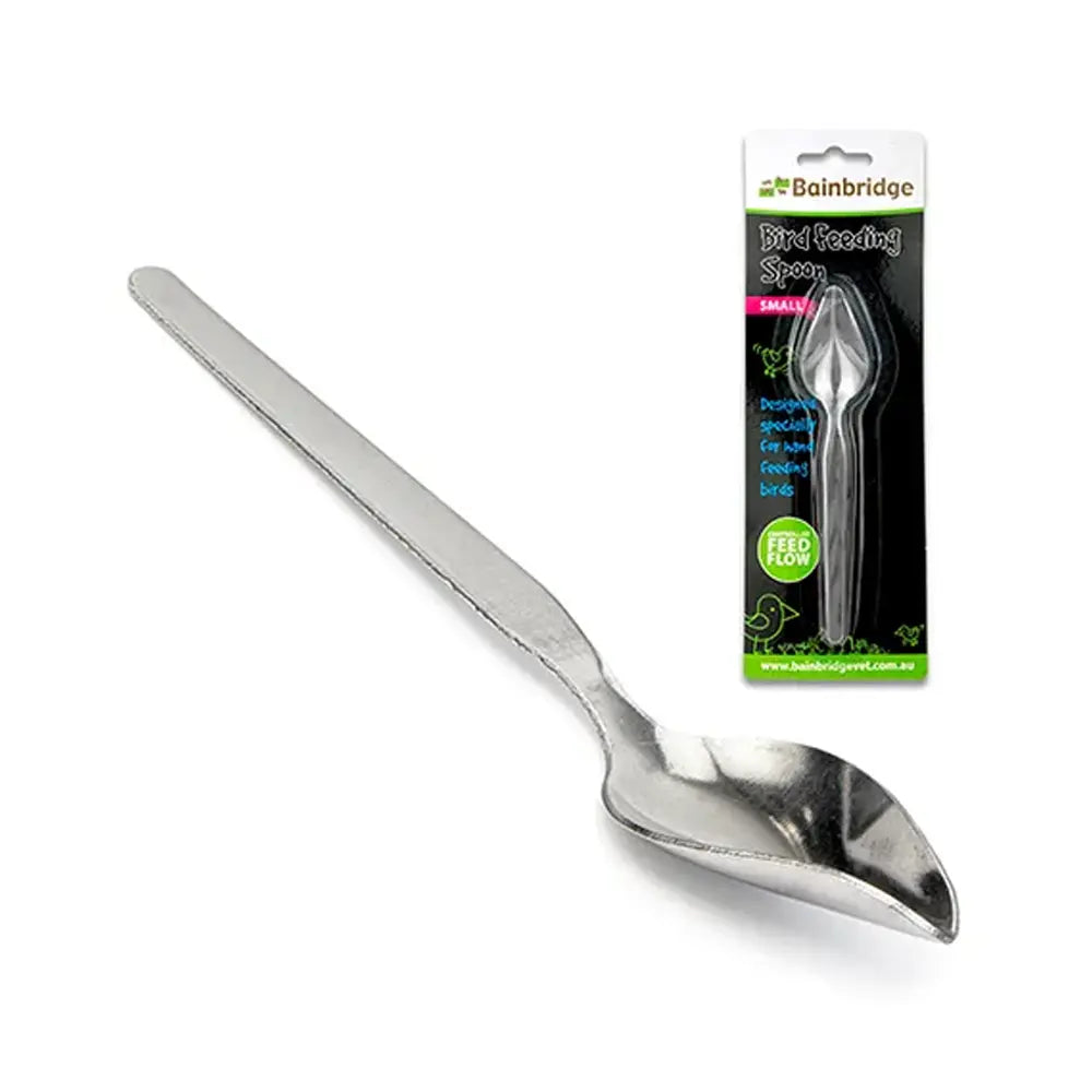 Bainbridge Bird Feeding Spoon from Bainbridge