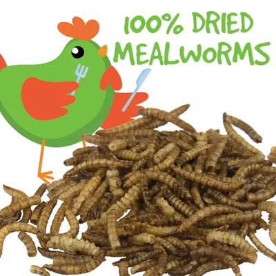 Bainbridge Dried Mealworms 100g from Bainbridge