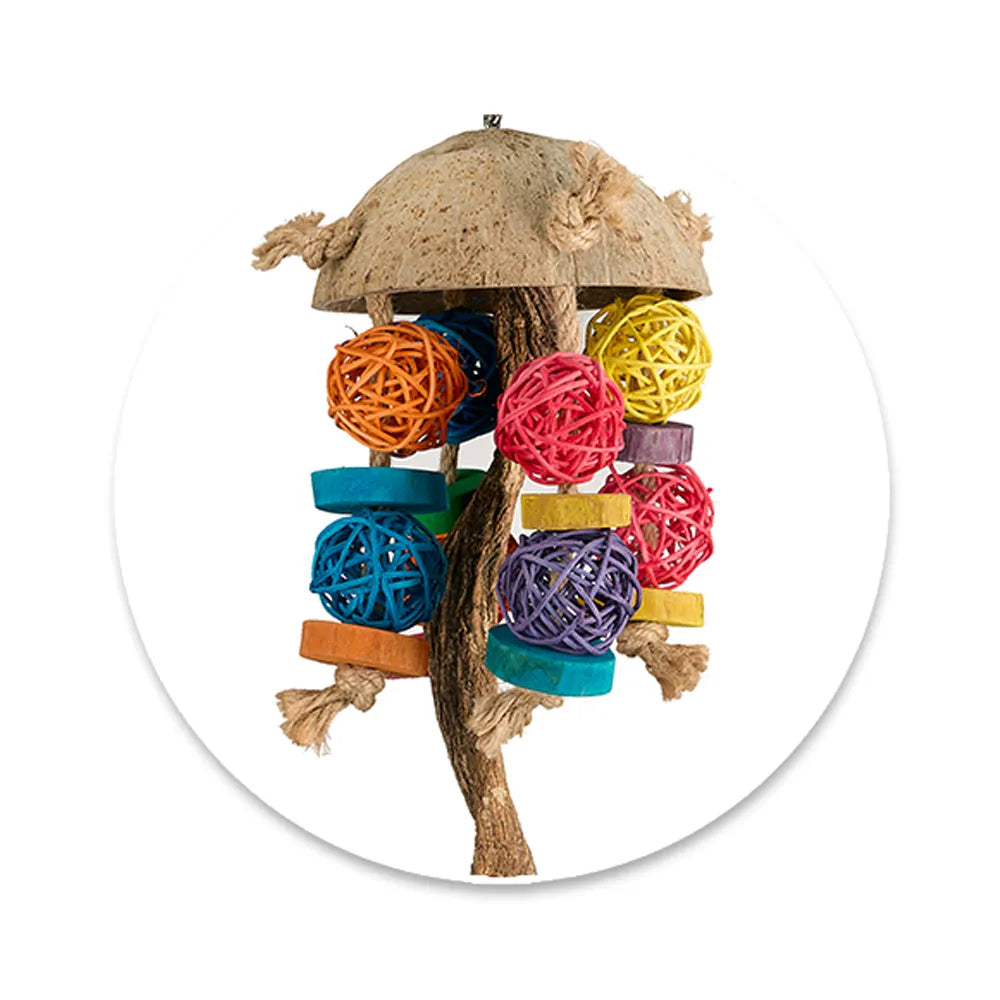 Bainbridge Coconut Jellyfish